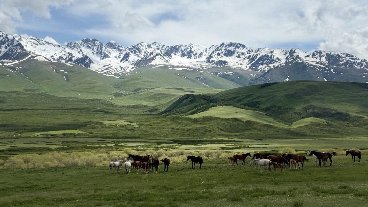 Kyrgyzstan 2026: The Festival Calendar